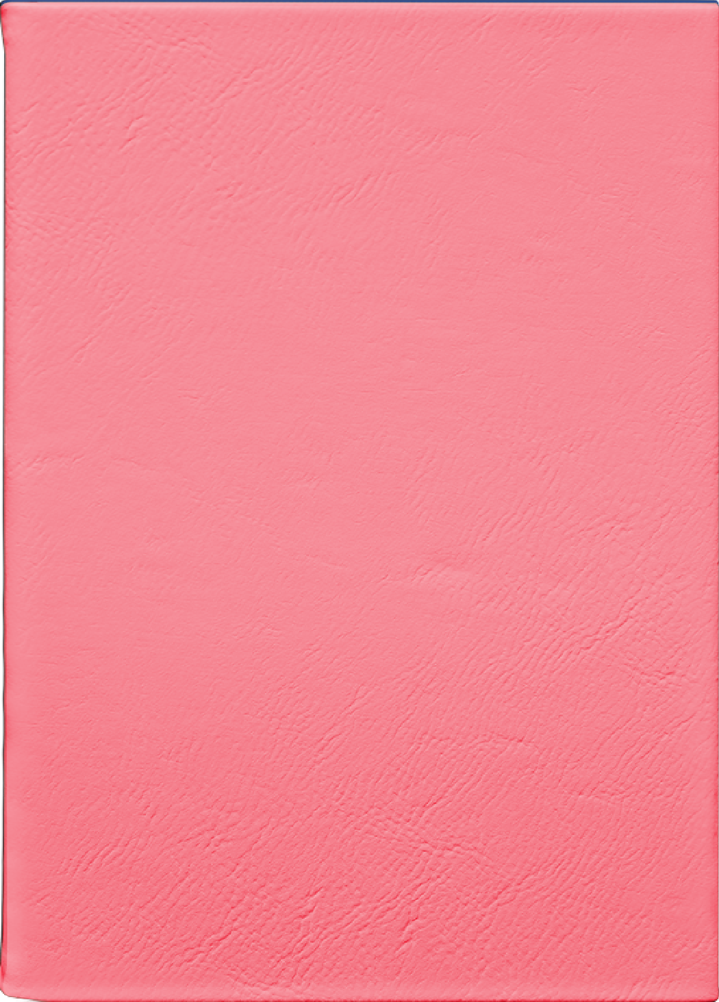 Custom Journal – Pink