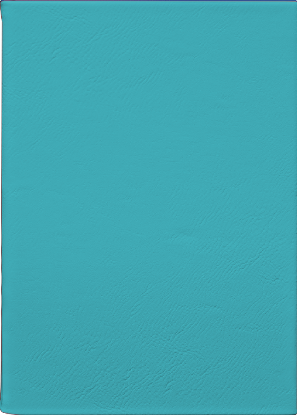 Custom Journal – Teal
